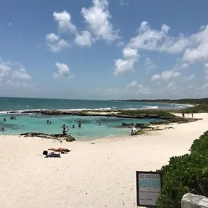Playaturquesa Moderna Casa C/r Auto A 9 Min 5ta Ave Сasa de vacaciones Playa del Carmen